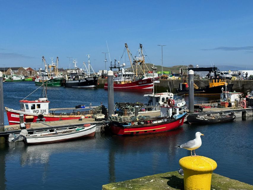 Dublin: Howth Coastal Hiking Tour - Price and value: what $44 buys you (and what it doesn’t)