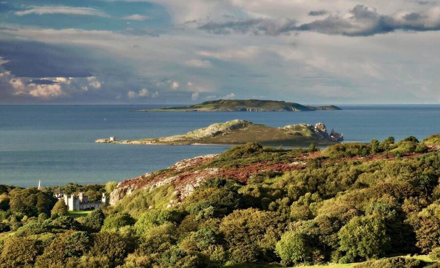 Dublin: Howth Coastal Hiking Tour - From viewpoints to the Ben of Howth summit: the famous payoff