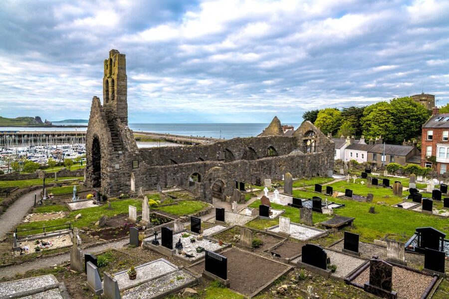 Dublin: Howth Coastal Hiking Tour - Back toward the harbour: seals, village charm, and local food guidance