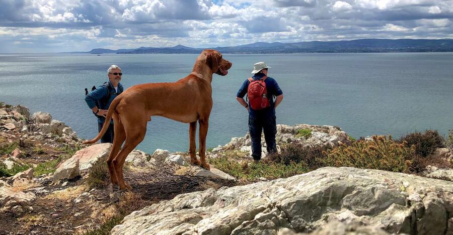 Dublin: Howth Coastal Hiking Tour - Getting there: start at Howth Market, then ease into the village