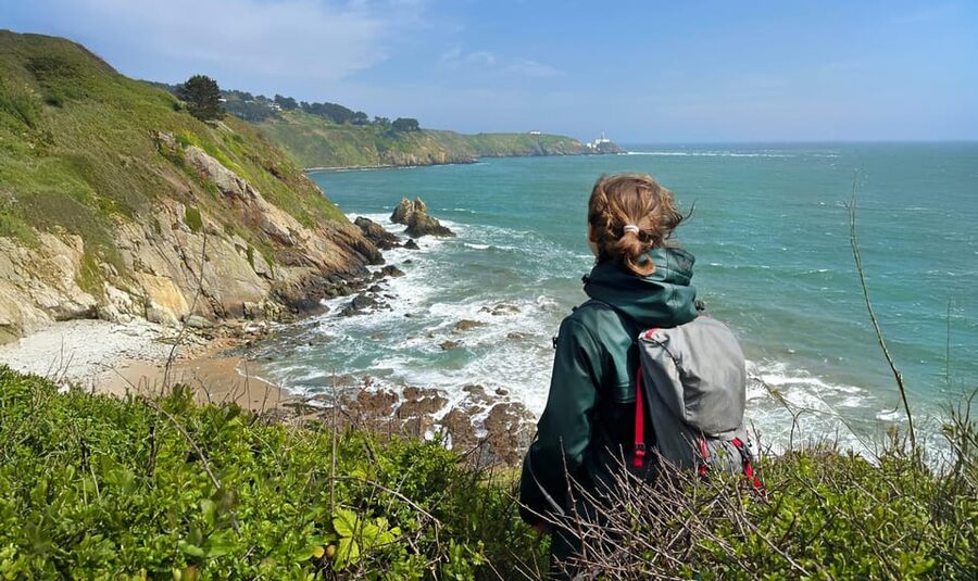 Dublin: Howth Safari Hiking Tour - Key highlights to know before you walk