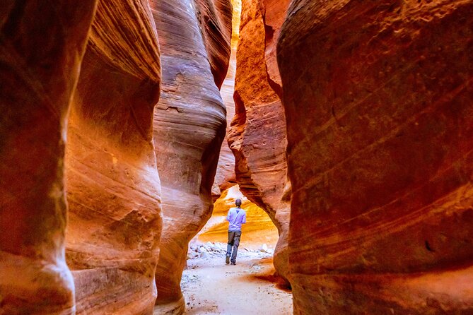 East Zion Crimson Canyon Hike & UTV Adventure - Inside the Canyon Walls: Markings, Formation Lessons, and Wet-Weather Reality
