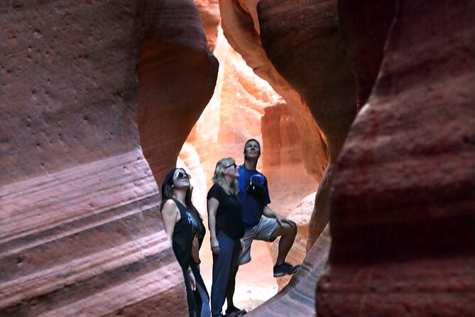 East Zion Crimson Canyon Hike & UTV Adventure - Price and Value: Is $129.91 Worth It?