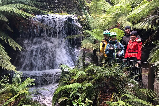 Easy Bike Tour - Mt Wellington Summit Descent & Rainforest Ride - Key highlights worth caring about