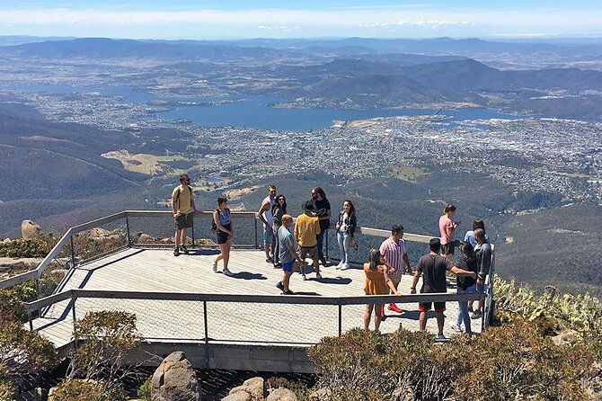 Easy Bike Tour - Mt Wellington Summit Descent & Rainforest Ride - South Hobart start: helmets on, brains engaged