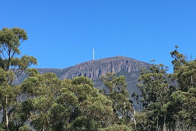 Easy Bike Tour - Mt Wellington Summit Descent & Rainforest Ride - The 6 km summit road descent: optional, but hard to resist