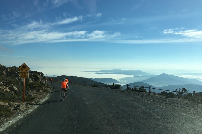 Easy Bike Tour - Mt Wellington Summit Descent & Rainforest Ride - The 11 km temperate rainforest ride: wide, gently graded, and beautiful