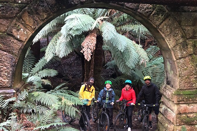 Easy Bike Tour - Mt Wellington Summit Descent & Rainforest Ride - How hard is it, really? The “easy” label makes sense