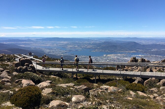 Easy Bike Tour - Mt Wellington Summit Descent & Rainforest Ride - Value check: why ~$121 feels fair for a supported mountain day