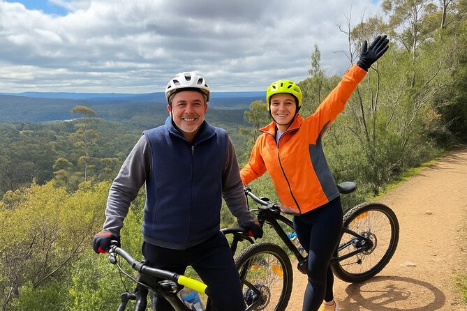 Easy Bike Tour - Mt Wellington Summit Descent & Rainforest Ride - Getting to 1270m: the summit photo window is short on purpose