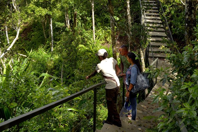 Ebony Forest Reserve Chamarel - Take a Hike Tour - The Ebony Experience Museum: the story behind the trees