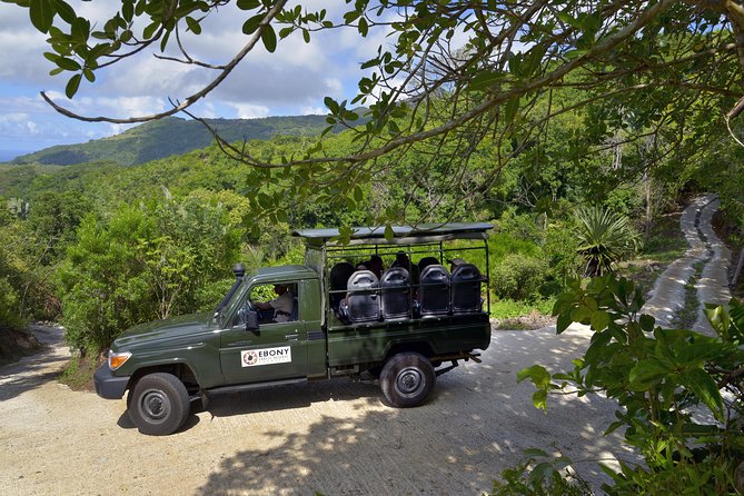 Ebony Forest Reserve Chamarel - Take a Hike Tour - Flycatcher Forest walkway: guided, raised, and surprisingly calming