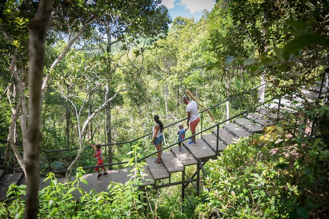 Ebony Forest Reserve Chamarel - Take a Hike Tour - Optional hike: Piton du Canot for the strong legs