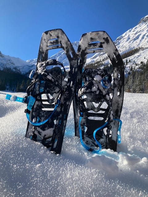 Ehrwald: Zugspitze Snowshoe Hiking Tour with Mountain Views - Quick hits from the Ebne 5–Zugspitze experience