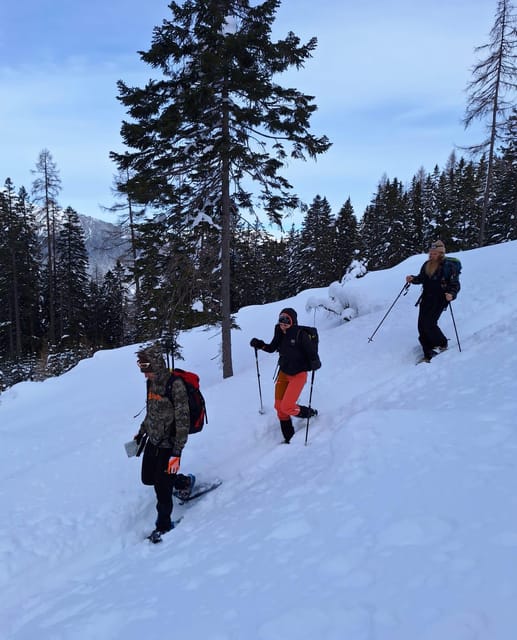 Ehrwald: Zugspitze Snowshoe Hiking Tour with Mountain Views - Language and guide style: German and English