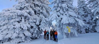 Ehrwald: Zugspitze Snowshoe Hiking Tour with Mountain Views - Getting going at Ebne 5 (and why that matters)