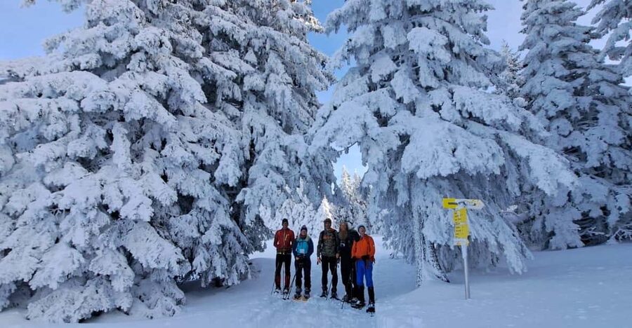 Ehrwald: Zugspitze Snowshoe Hiking Tour with Mountain Views - Included value: what your $80 actually buys