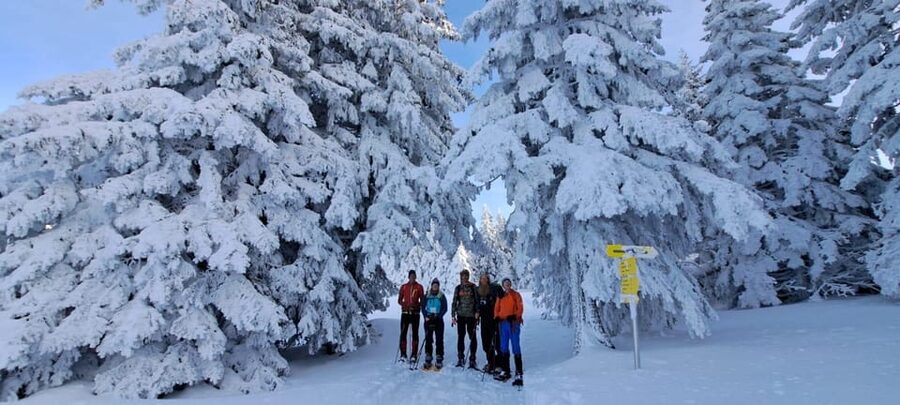 Ehrwald: Zugspitze Snowshoe Hiking Tour with Mountain Views - Getting going at Ebne 5 (and why that matters)