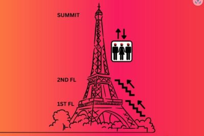 Eiffel Tower Climbing Tour with Summit Access - Stairs to the 1st and 2nd levels: how hard is it, really?