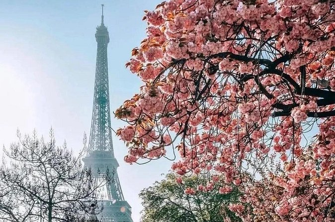 Eiffel Tower Guided Access up to the 2nd Floor or Summit by Lift - Who This Eiffel Tower Lift Tour Is Best For