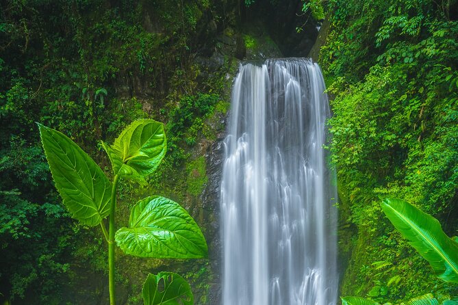 El Tigre Waterfalls Hiking Tour with Lunch and Nature Guide - Key highlights at a glance