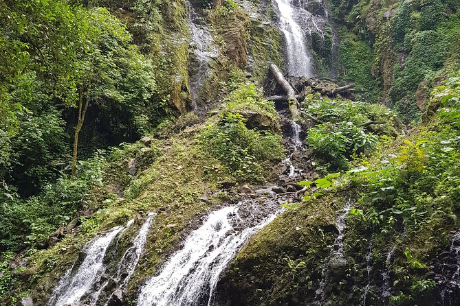 El Tigre Waterfalls Hiking Tour with Lunch and Nature Guide - Stop 1: the El Tigre Waterfalls hike through cloud forest