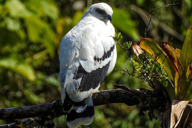 El Tigre Waterfalls Hiking Tour with Lunch and Nature Guide - Lunch at the main building: more than just a snack