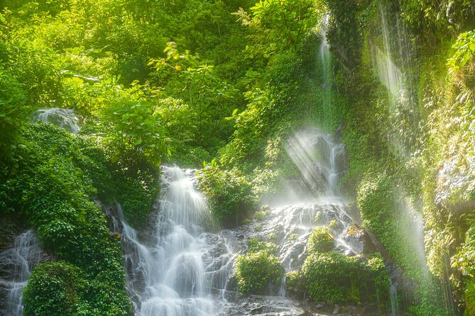 El Tigre Waterfalls Hiking Tour with Lunch and Nature Guide - Guides: what makes the experience feel personal
