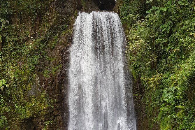 El Tigre Waterfalls Hiking Tour with Lunch and Nature Guide - The 7:00 am start: what the small-group format changes