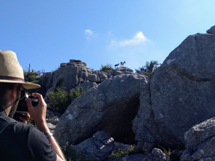 El Torcal de Antequera Hike with Transfer - Price and value: Is $41 a fair deal for this 4-hour experience?