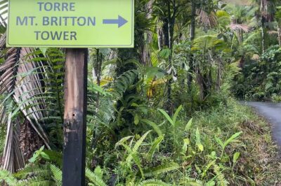 El Yunque Rainforest Hike with Transport from San Juan - El Yunque National Forest Trail Time: What You’re Really Doing For 4 Hours