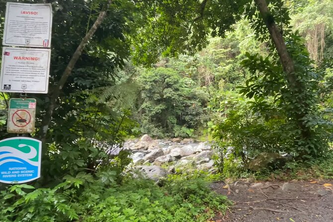 El Yunque Rainforest Hike with Transport from San Juan - Waterfalls and Swimming Pools: Cool-Down Time, Not a Guaranteed Swim
