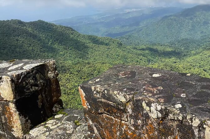 El Yunque Rainforest Hike with Transport from San Juan - Food and Drinks: Expect Simple Breaks, Plan Your Own Fuel
