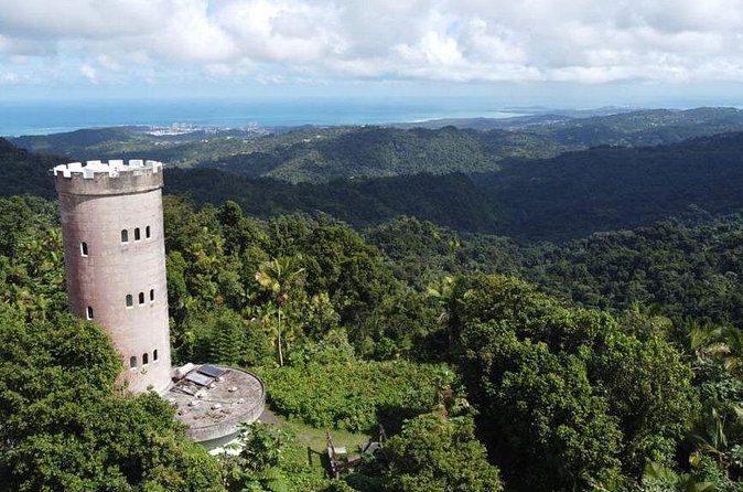 El Yunque Rainforest Hike with Transport from San Juan - Price and Value: How $125 Adds Up (and Where It Doesn’t)