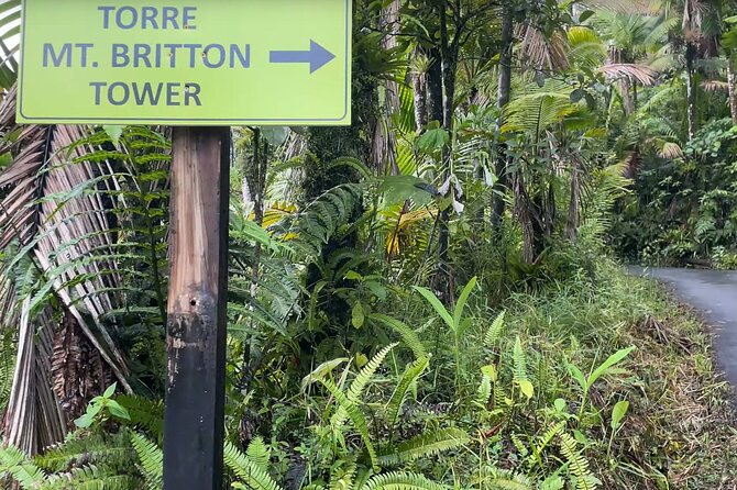 El Yunque Rainforest Hike with Transport from San Juan - El Yunque National Forest Trail Time: What You’re Really Doing For 4 Hours