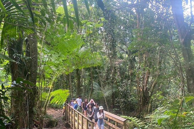 El Yunque Rainforest Hiking Tour from San Juan - Quick Hits Before You Go