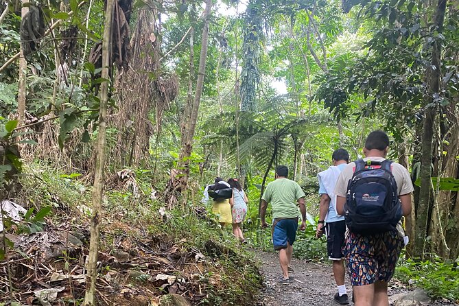 El Yunque Rainforest Hiking Tour from San Juan - From Plaza Colón to El Yunque: Easy Start, Real Forest Time