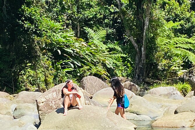 El Yunque Rainforest Hiking Tour from San Juan - Stop at the Forest: Climbing Up Toward El Yunque’s Higher Air