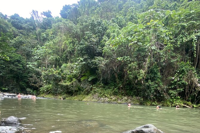 El Yunque Rainforest Hiking Tour from San Juan - The River Trail and Natural Pool: When Swimming Is Possible