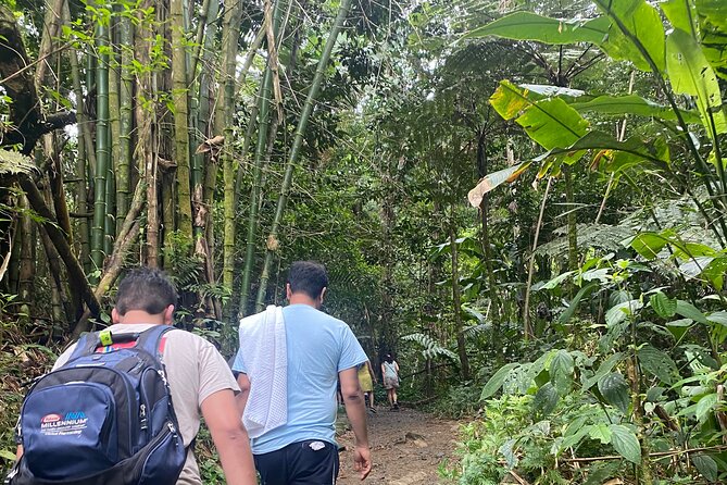 El Yunque Rainforest Hiking Tour from San Juan - What the Hike Actually Feels Like (Not Too Short, Not a Grind)
