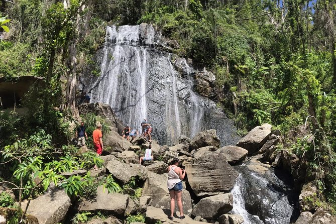 El Yunque Rainforest Hiking Tour from San Juan - The Drive In: Where the Guide Makes the Tour Feel Worth It
