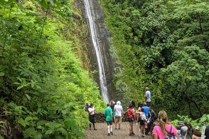 Electric Bike Ride & Manoa Falls Hike Tour - Guide Style That Makes the Whole Day Feel Smooth