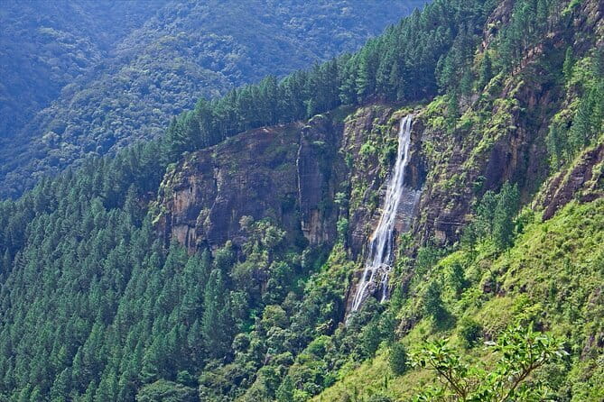 Ella Rock Hiking Tours ( sunrise-tour ,good morning tour,sunny afternoon tour ) - Guides Who Add Meaning: Jeewa, Sam, and Dila’s Impact on the Hike