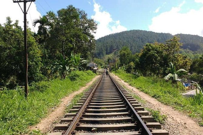 Ella Rock Hiking Tours ( sunrise-tour ,good morning tour,sunny afternoon tour ) - Price and Value: Why $30 Often Makes Sense Here