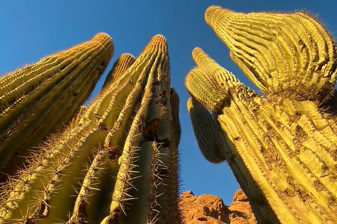 Epic Camelback Mountain Guided Hiking Adventure in Phoenix, Arizona - Camelback Mountain: why this Phoenix hike feels like a challenge and a reward