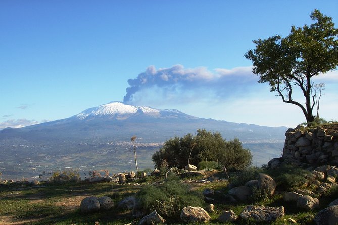 Etna: Trekking to the summit craters at 3,340 meters - Price and what you’ll really spend on summit day