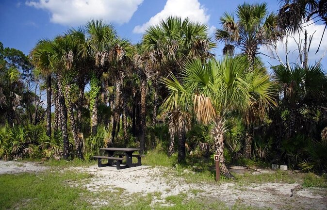 Everglades National Park Biologist Led Adventure: Cruise, Hike + Airboat - Morning logistics: getting from Fort Lauderdale and Miami without wasting hours
