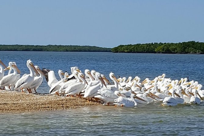 Everglades National Park Biologist Led Adventure: Cruise, Hike + Airboat - Miccosukee airboat + Native village time: seeing the River of Grass through a different lens