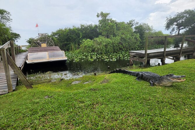 Everglades National Park Biologist Led Adventure: Cruise, Hike + Airboat - Smallwood Store, Rod and Gun Club, and Everglades City: Old Florida without the museum stiffness