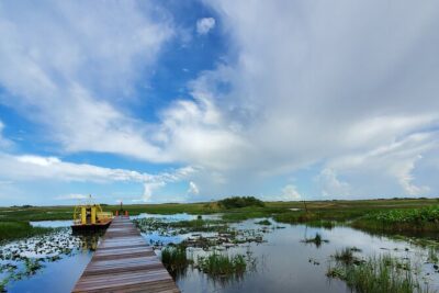 Everglades National Park Naturalist Led Hike, 2 Boat Trips + More - Everglades National Park access with the official visitor stamp